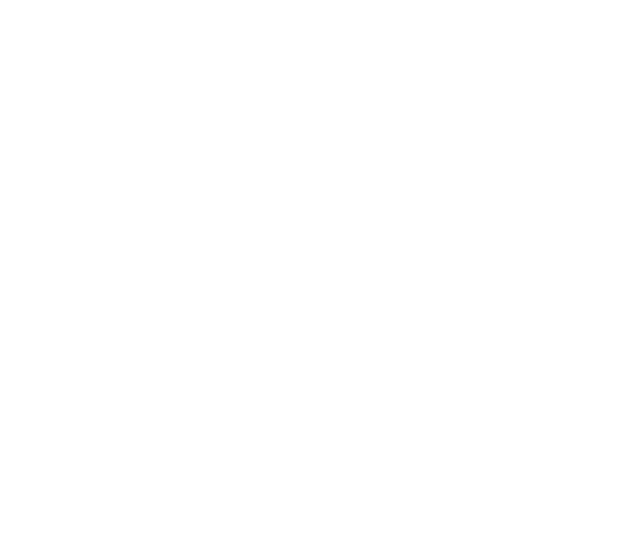 FFI Logo: ein Auge mit den Buchstaben F, F, I